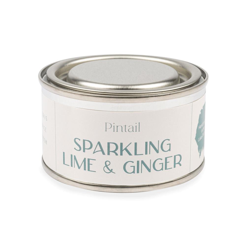 Pintail Candles Sparkling Lime & Ginger Paint Pot Candle Extra Image 1